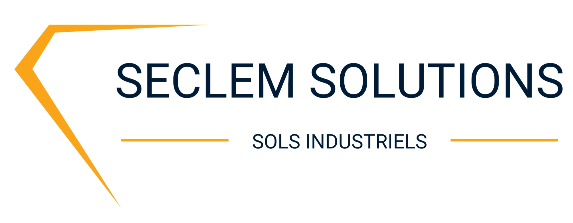 Logo Seclem Solutions Blanc